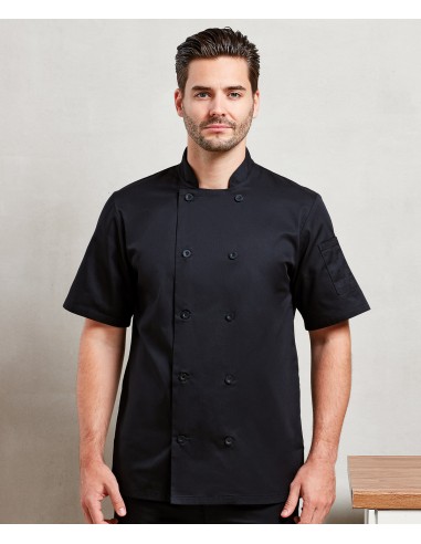 P-PR656-Short Sleeve Chefs Jacket